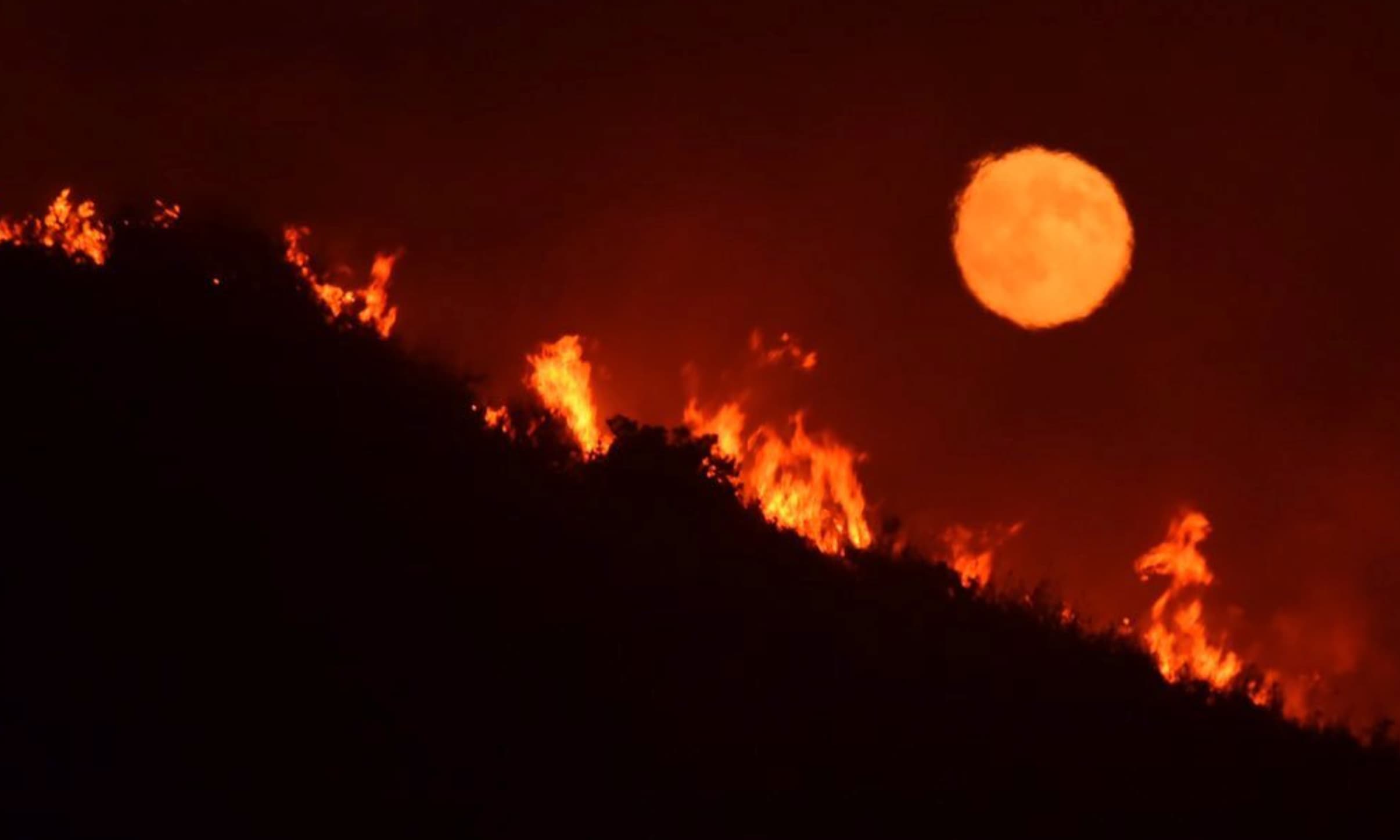 28 Disastrous Photos of the California Wildfires